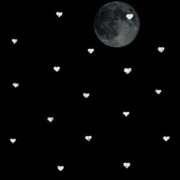 ヒメ日記 2025/11/08 08:30 投稿 ふたば THE・TRY