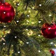 ヒメ日記 2025/12/19 11:00 投稿 ふたば THE・TRY