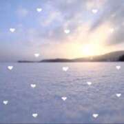 ヒメ日記 2026/01/12 10:29 投稿 ふたば THE・TRY