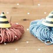 ふたば 1月26日お礼? THE・TRY