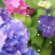 ヒメ日記 2026/06/22 23:50 投稿 ふたば THE・TRY
