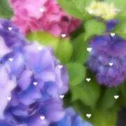 ふたば 6月24日お礼? THE・TRY
