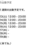 ヒメ日記 2024/03/23 15:36 投稿 いずみ 奴隷コレクション