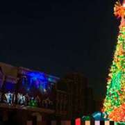 ヒメ日記 2024/12/24 12:12 投稿 まりあ 妻天 日本橋店