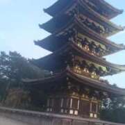 ヒメ日記 2025/03/02 21:02 投稿 まりあ 妻天 日本橋店