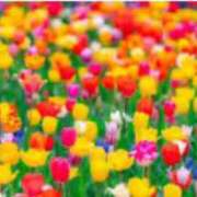 ヒメ日記 2025/05/07 18:21 投稿 まりあ 妻天 日本橋店