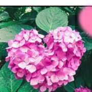 ヒメ日記 2025/06/01 09:59 投稿 まりあ 妻天 日本橋店