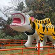 ヒメ日記 2025/11/21 20:00 投稿 まりあ 妻天 日本橋店