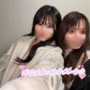 ヒメ日記 2024/12/30 12:04 投稿 果樹-KAJYU- luxury aroma 咲