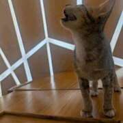 ヒメ日記 2025/04/24 17:54 投稿 ふみ 梅田ゴールデン倶楽部