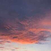 ヒメ日記 2025/09/24 08:04 投稿 ふみ 梅田ゴールデン倶楽部