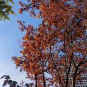 ヒメ日記 2025/09/29 08:34 投稿 ふみ 梅田ゴールデン倶楽部