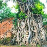 ヒメ日記 2025/10/19 08:34 投稿 ふみ 梅田ゴールデン倶楽部