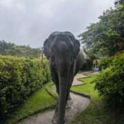 ヒメ日記 2025/11/14 17:34 投稿 ふみ 梅田ゴールデン倶楽部