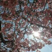 ヒメ日記 2026/04/09 08:12 投稿 ふみ 梅田ゴールデン倶楽部