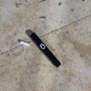 ヒメ日記 2024/12/17 10:43 投稿 TSUBOMI（つぼみ） UTAKATA