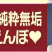 ヒメ日記 2025/09/12 05:23 投稿 TSUBOMI（つぼみ） UTAKATA