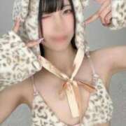 ヒメ日記 2025/12/13 06:03 投稿 TSUBOMI（つぼみ） UTAKATA