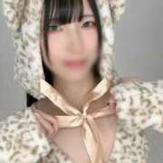 ヒメ日記 2025/12/20 23:53 投稿 TSUBOMI（つぼみ） UTAKATA