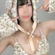 ヒメ日記 2025/12/28 19:53 投稿 TSUBOMI（つぼみ） UTAKATA