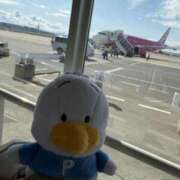 ヒメ日記 2026/01/28 14:23 投稿 TSUBOMI（つぼみ） UTAKATA