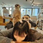 ヒメ日記 2026/01/30 09:13 投稿 TSUBOMI（つぼみ） UTAKATA