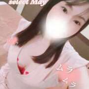 ヒメ日記 2025/08/11 16:02 投稿 め　い【大人女子】 Select(セレクト)