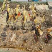 ヒメ日記 2025/08/06 12:16 投稿 ひとみ 横浜風俗 横浜いきなりビンビン伝説