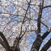 ヒメ日記 2025/04/09 12:06 投稿 ゆきの 新潟デリヘル倶楽部