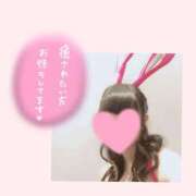 ヒメ日記 2024/12/13 16:16 投稿 日向　ひなた NADIA東京新橋店