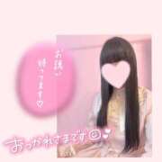 ヒメ日記 2025/02/08 10:02 投稿 日向　ひなた NADIA東京新橋店