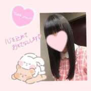 ヒメ日記 2025/02/08 16:01 投稿 日向　ひなた NADIA東京新橋店