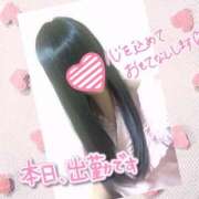 ヒメ日記 2025/02/08 17:31 投稿 日向　ひなた NADIA東京新橋店