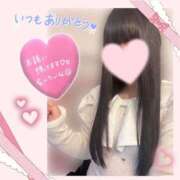 ヒメ日記 2025/06/29 01:12 投稿 日向　ひなた NADIA東京新橋店