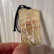 ヒメ日記 2025/01/13 09:45 投稿 こゆき アムールクリスタル