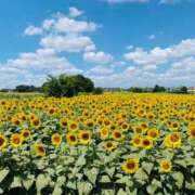 ヒメ日記 2025/08/11 09:40 投稿 こゆき アムールクリスタル