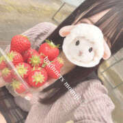 ヒメ日記 2025/04/26 13:18 投稿 もみじ ビギナーズ神戸