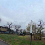 ヒメ日記 2024/12/14 07:22 投稿 かい 奥様プリモ