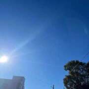 ヒメ日記 2024/12/16 09:42 投稿 かい 奥様プリモ