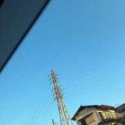 ヒメ日記 2025/01/23 16:32 投稿 かい 奥様プリモ