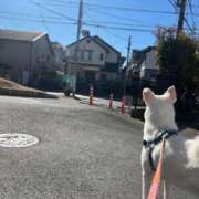 ヒメ日記 2025/02/05 20:42 投稿 かい 奥様プリモ