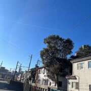 ヒメ日記 2025/02/07 09:22 投稿 かい 奥様プリモ