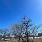 ヒメ日記 2025/02/08 12:22 投稿 かい 奥様プリモ