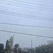 ヒメ日記 2025/03/03 14:22 投稿 かい 奥様プリモ