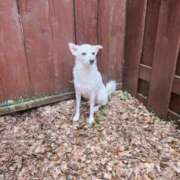 ヒメ日記 2025/03/22 18:09 投稿 かい 奥様プリモ