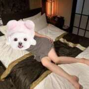 ヒメ日記 2025/06/07 22:49 投稿 かい 奥様プリモ