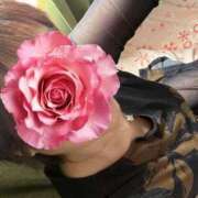 ヒメ日記 2025/06/09 10:19 投稿 かい 奥様プリモ