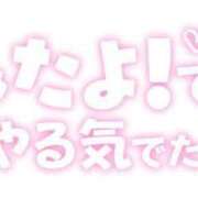 ヒメ日記 2025/06/11 11:29 投稿 かい 奥様プリモ