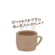 ヒメ日記 2025/06/12 08:29 投稿 かい 奥様プリモ