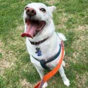 ヒメ日記 2025/06/13 14:09 投稿 かい 奥様プリモ